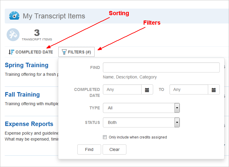 Adding a Custom Transcript Widget