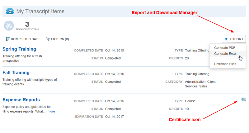 Adding a Custom Transcript Widget